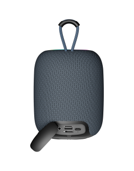 CANYON speaker BSP-8 10W Gray