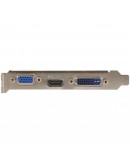 MSI Video Card NVidia N210-1GD3/LP (GF210, 1GB