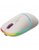 CANYON mouse MW-22 2in1 BT/ Wireless Rice