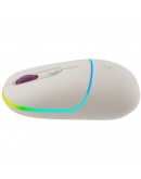 CANYON mouse MW-22 2in1 BT/ Wireless Rice