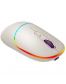 CANYON mouse MW-22 2in1 BT/ Wireless Rice