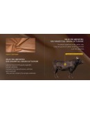 Geometric Future кутия Case EATX - Model 8 Cowboy