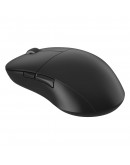 Endgame Gear професионална геймърска мишка XM2w 4K - Wireless Gaming Mouse - Black
