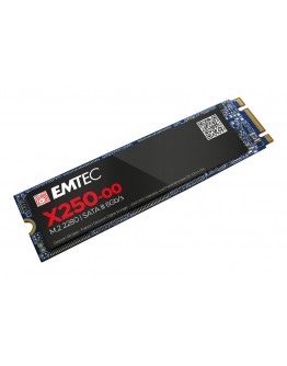 EMTEC SSD X250 256G M2 SATA