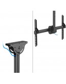 Neomounts Flat Screen Ceiling Mount (Height: 250-3