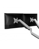 Neomounts Flat Screen Desk mount (10-32) desk clam
