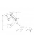 Neomounts Next One Desk Mount, single display (top