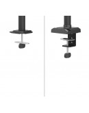 Neomounts Nero Single Flat Screen Desk Mount (phon