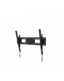 Neomounts Level-750 Wall Mount (XL, 100 kg, tiltab