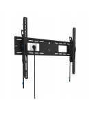 Neomounts Level-750 Wall Mount (XL, 100 kg, tiltab