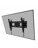 Neomounts Level-750 Wall Mount (XL, 125 kg, tiltab