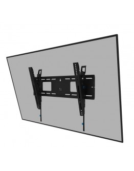 Neomounts Level-750 Wall Mount (XL, 125 kg, tiltab