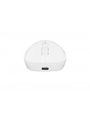 Fury Gaming Mouse Tanto T4 12000DPI Wireless With 