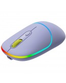 CANYON mouse MW-22 2in1 BT/ Wireless