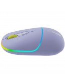 CANYON mouse MW-22 2in1 BT/ Wireless