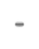 Apple Lightning to USB Cable