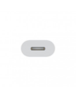 Apple Lightning to USB Cable