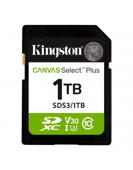 1TB SD KINGST CANVAS SEL+ G3
