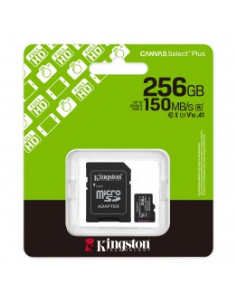 256G SDMIC KINGS CANVAS SEL+A1