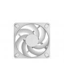 FD MOMENTUM 12 WHITE