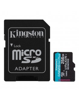 256GB SDMIC KINGST CANV GO+ G4