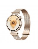 Huawei Watch GT6, Konsu-B19M, Millanese + Huawei F