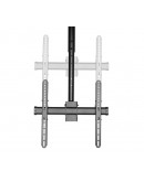 Neomounts Select Flat Screen Ceiling Mount (32-60)