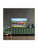 Телевизор Thomson Smart QLED Pro TV 55