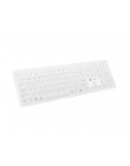 Natec Wireless Keyboard Tang US