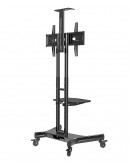 Neomounts Mobile Flat Screen Floor Stand (32-75