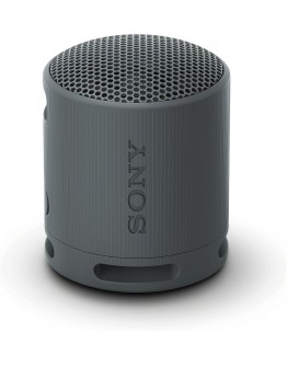 Sony SRS-XB100 Portable Bluetooth Speaker