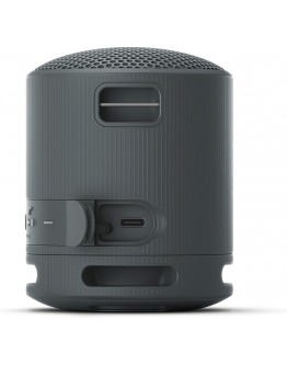 Sony SRS-XB100 Portable Bluetooth Speaker