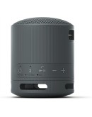 Sony SRS-XB100 Portable Bluetooth Speaker