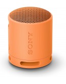 Sony SRS-XB100 Portable Bluetooth Speaker