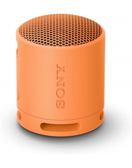 Sony SRS-XB100 Portable Bluetooth Speaker