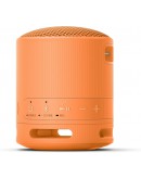 Sony SRS-XB100 Portable Bluetooth Speaker