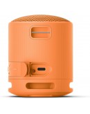 Sony SRS-XB100 Portable Bluetooth Speaker