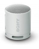 Sony SRS-XB100 Portable Bluetooth Speaker