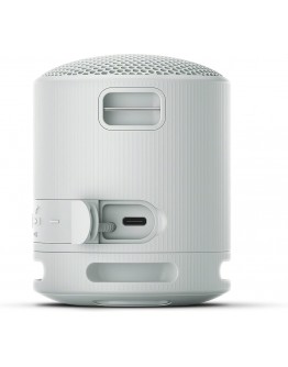 Sony SRS-XB100 Portable Bluetooth Speaker
