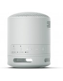 Sony SRS-XB100 Portable Bluetooth Speaker