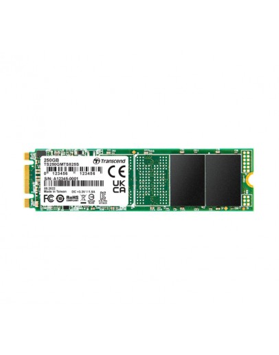 Transcend 250GB