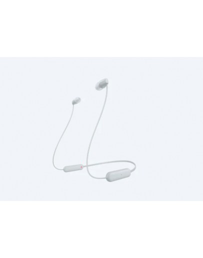 Sony Headset WI-C100