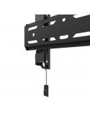 Neomounts Level-850 TV mount wall 24-65