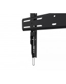 Neomounts Level-850 TV mount wall 40-75