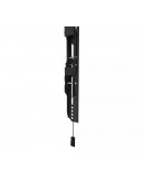 Neomounts Level-850 TV mount wall 42-86