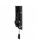 Neomounts Level-850 TV mount wall 24-65