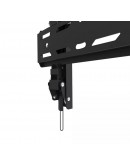 Neomounts Level-850 TV mount wall 24-65