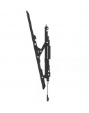 Neomounts Level-850 TV mount wall 40-75