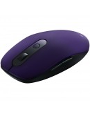 Canyon 2 in 1 Wireless optical mouse with 6