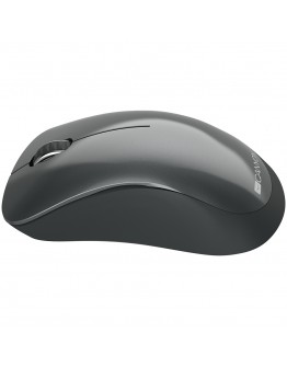 Canyon  2.4 GHz  Wireless mouse ,with 3 buttons,